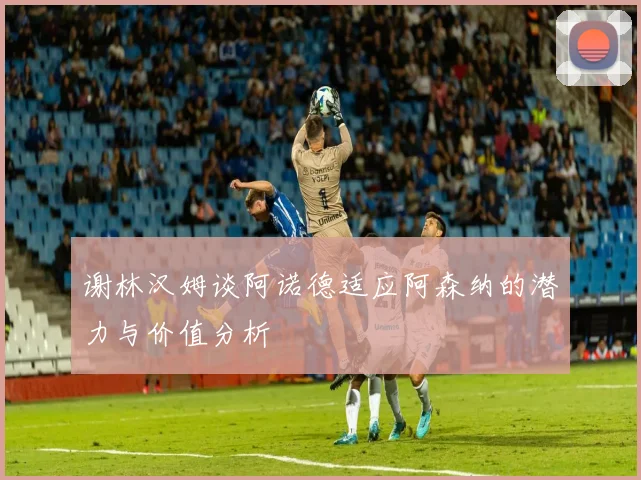 谢林汉姆谈阿诺德适应阿森纳的潜力与价值分析